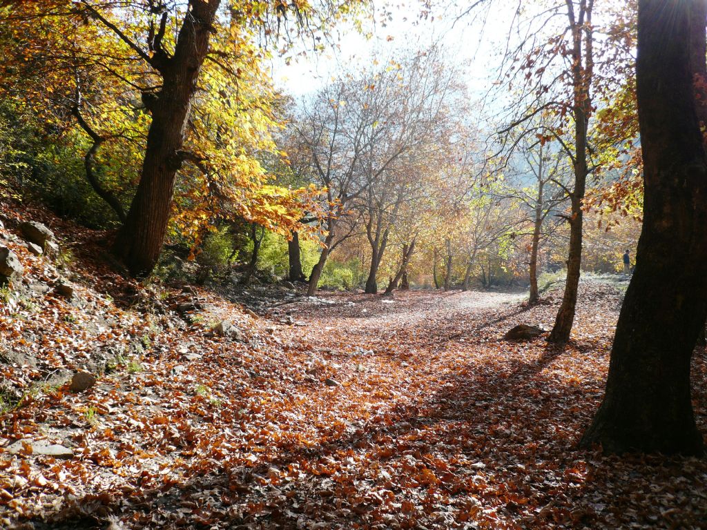 Sonbaharda sabahn ilk klar