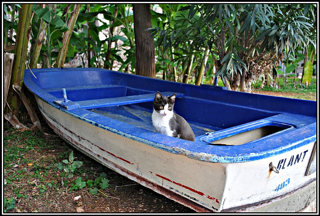 skelede Yolcu Kalmasn...
