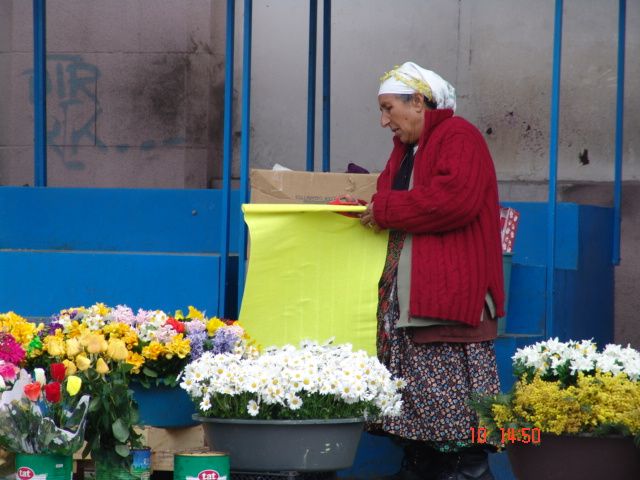 ekmek tela