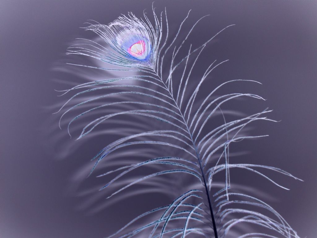 hera'n�n so�uk g�z�