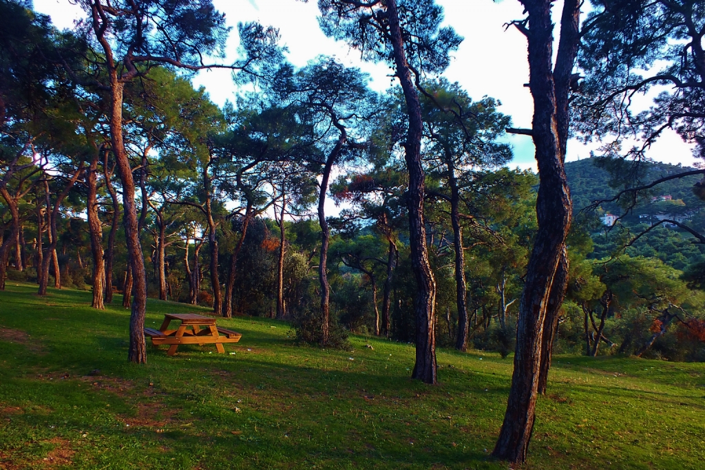 Bykada Piknikileri Bekliyor