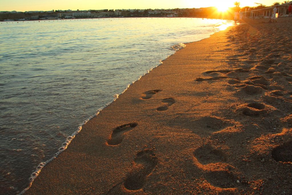 son ktan nceki yaam izleri