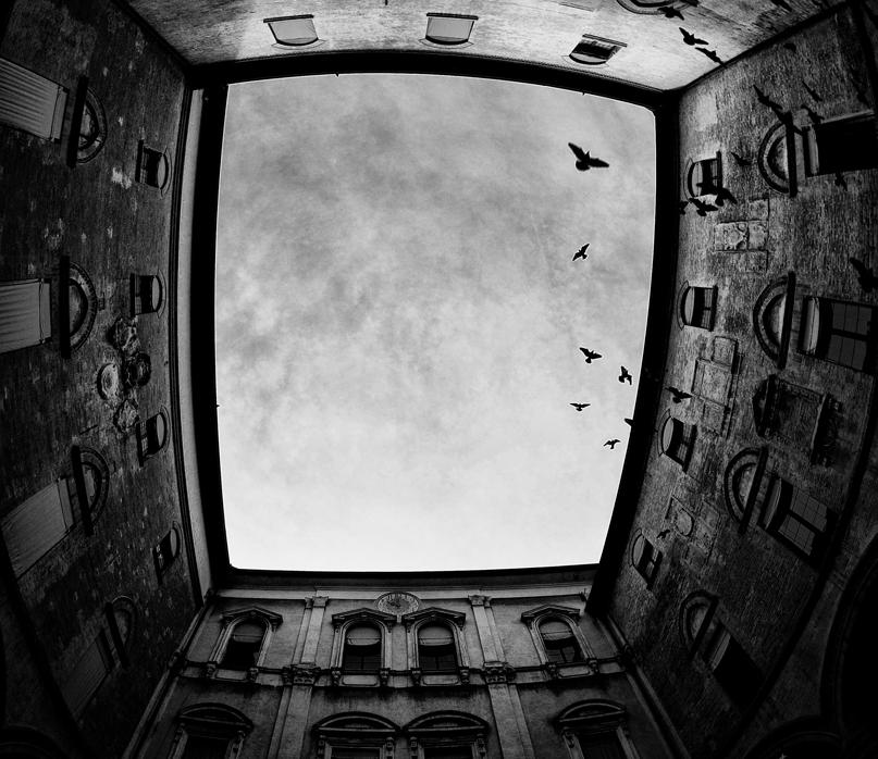 Boslugu dolduranlar... 