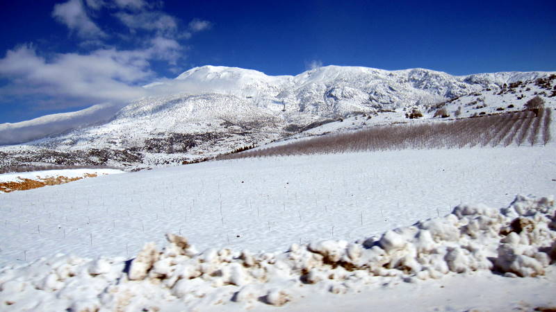 Kazkbeli geidi