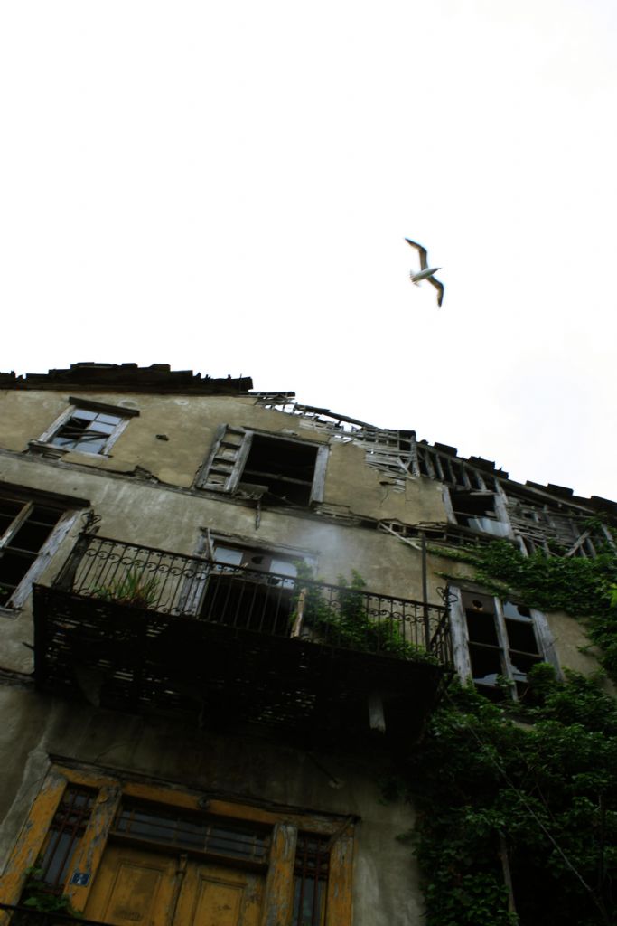 Objektife D��en Damla