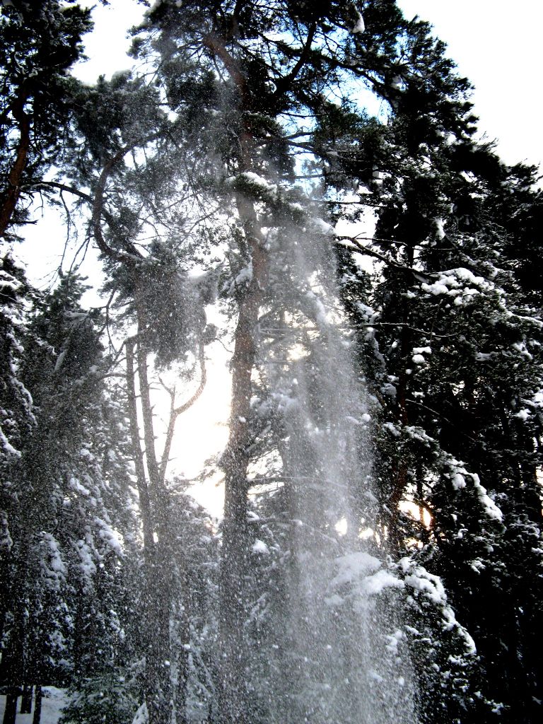 Karlar�n Dallardan S�z�l���...