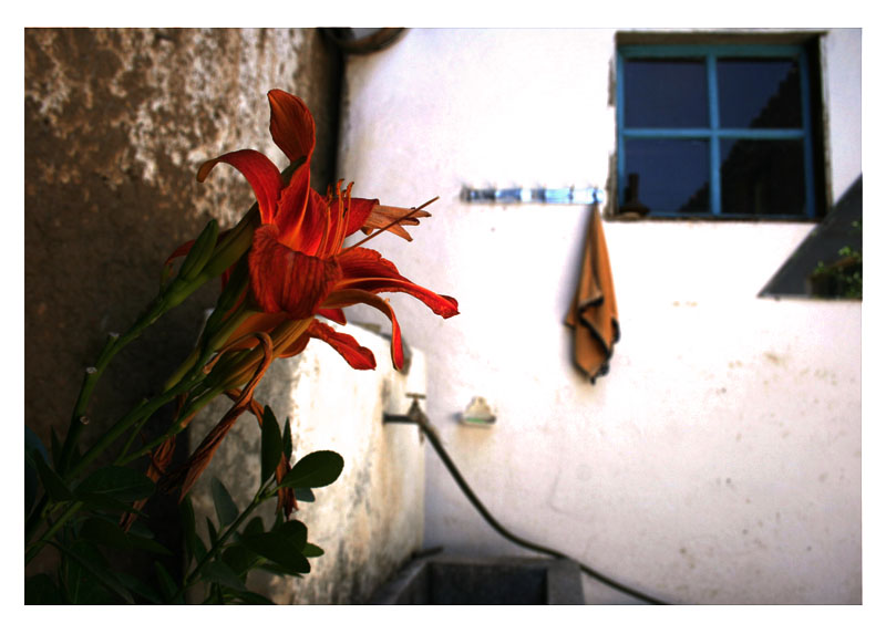 ESK� EV�N ���E��