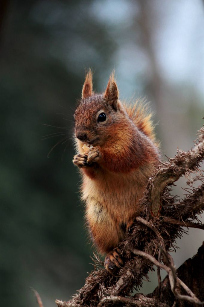 yemek vakti avlanmak