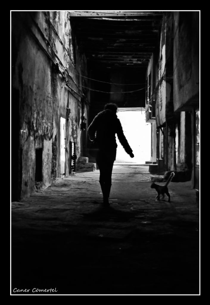 Y�r�nmeli ����a do�ru...