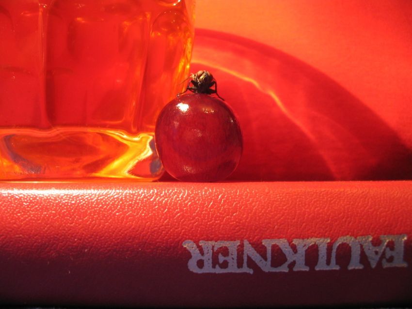 a�ustos �����