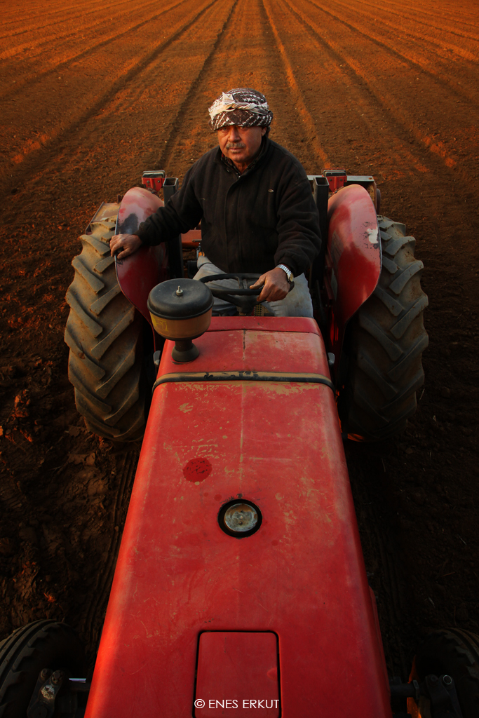 Tarm ve insan ve tarm..