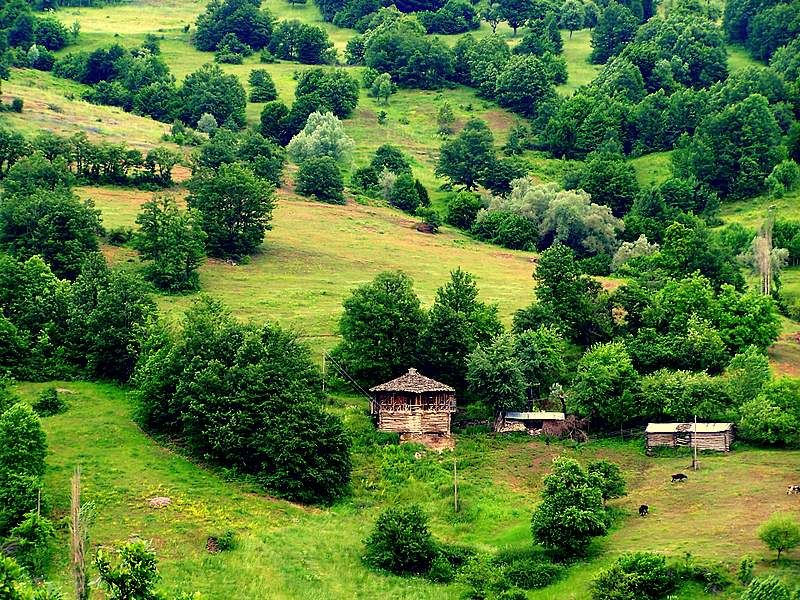 YAYLA-2