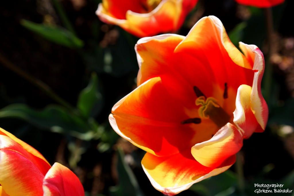 I���a a��l�rken...