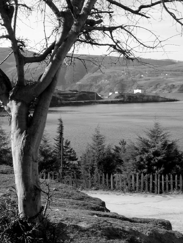 okulumun bahesinde-2