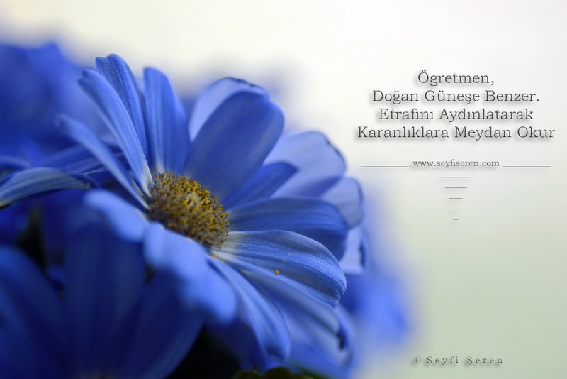 � � r e t m e n l e r i m i z e . . . 