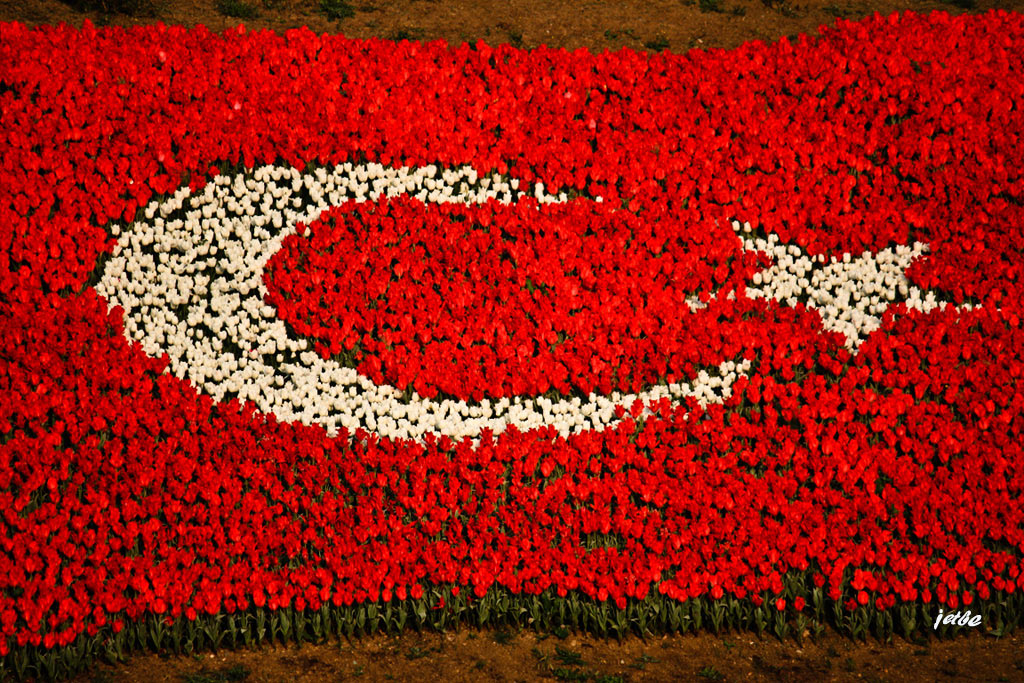 cumhuriyet haftamz kutlu olsun