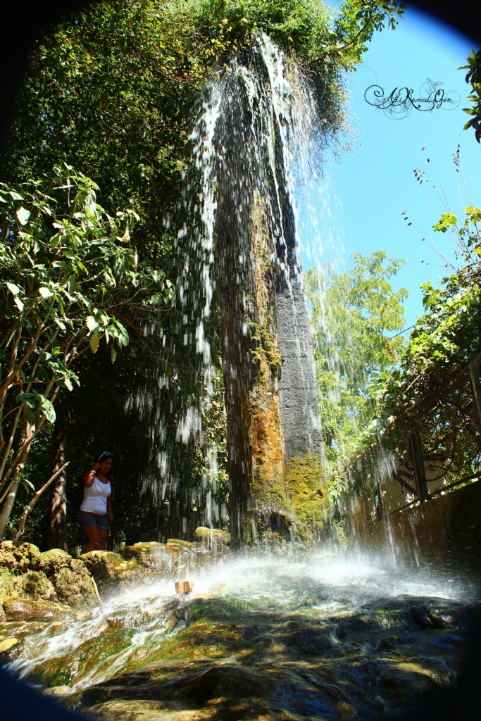 Antalya Dden elalesi