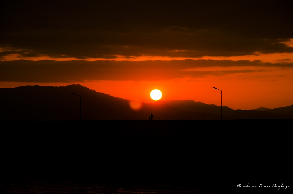 G�ne Veda Y�r�y���