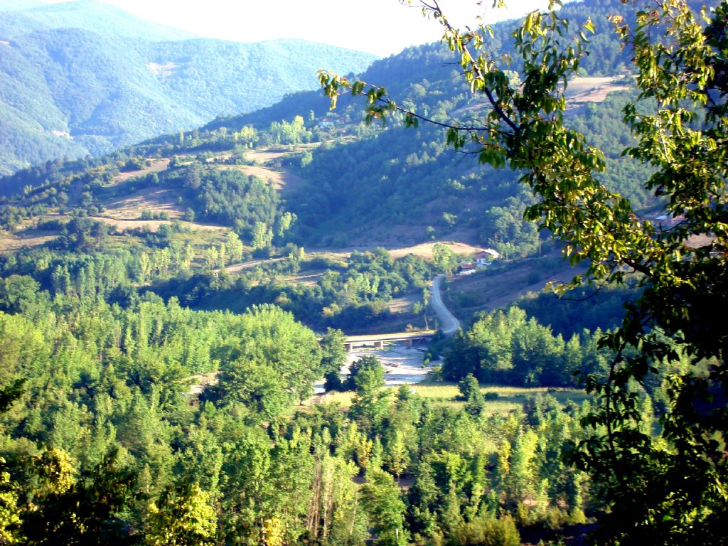 Karadeniz