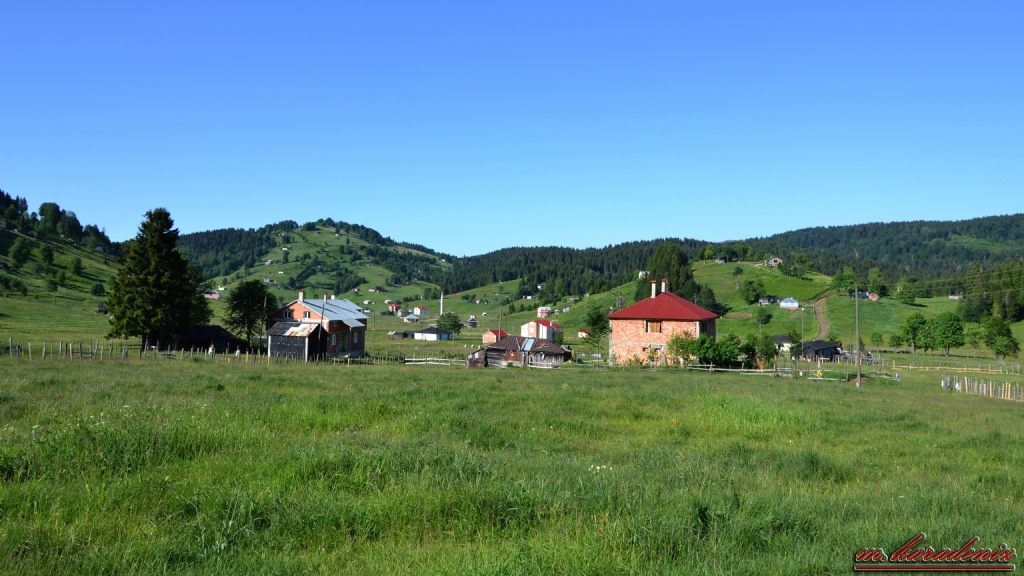 Yayla