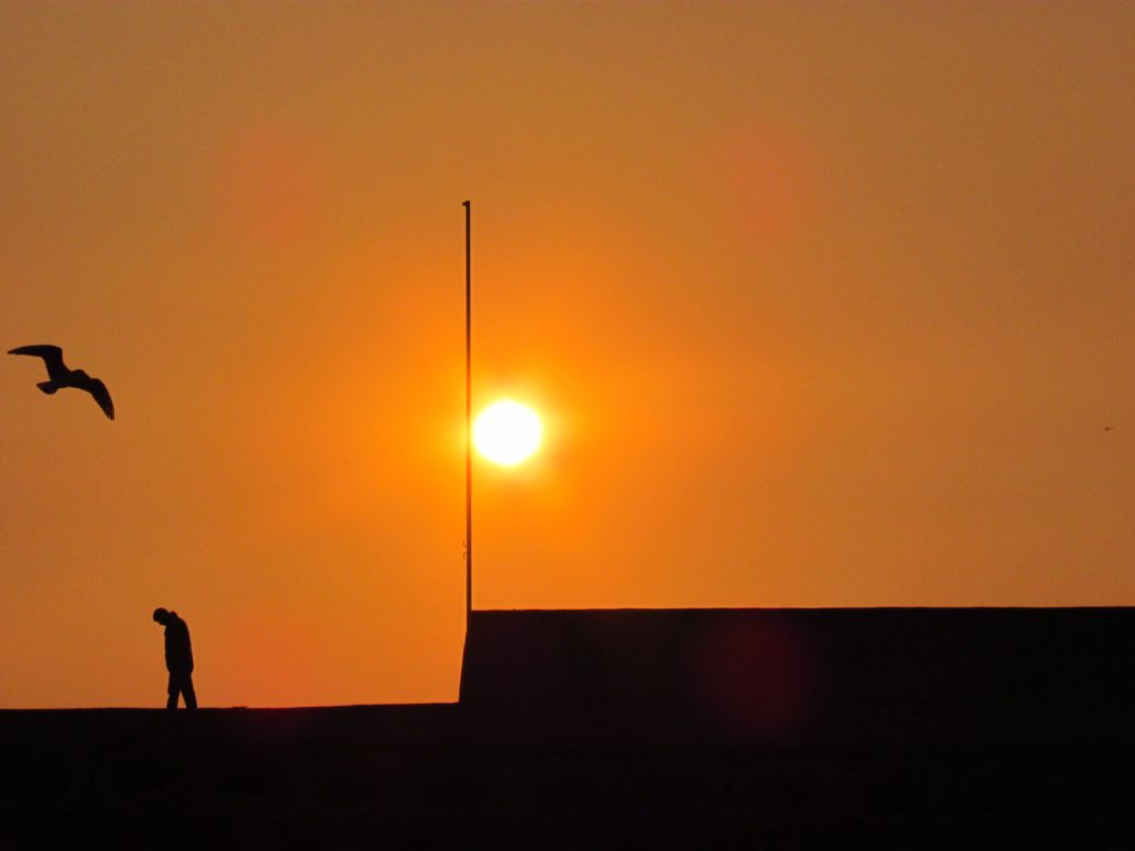 yaln�zlar r�ht�m�