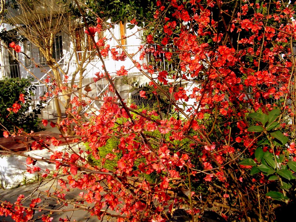 bahar  ... yol da...