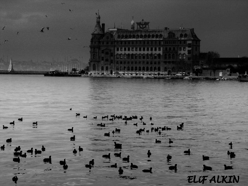 HAYDARPAA