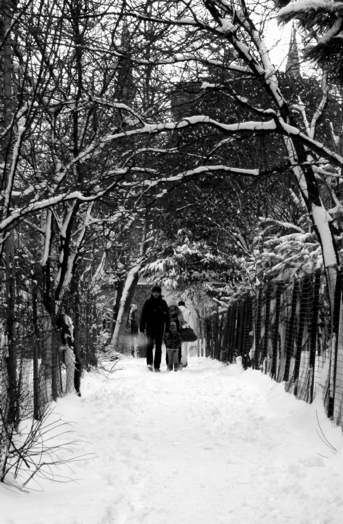 kar,k,rzgar...zledim sizi..