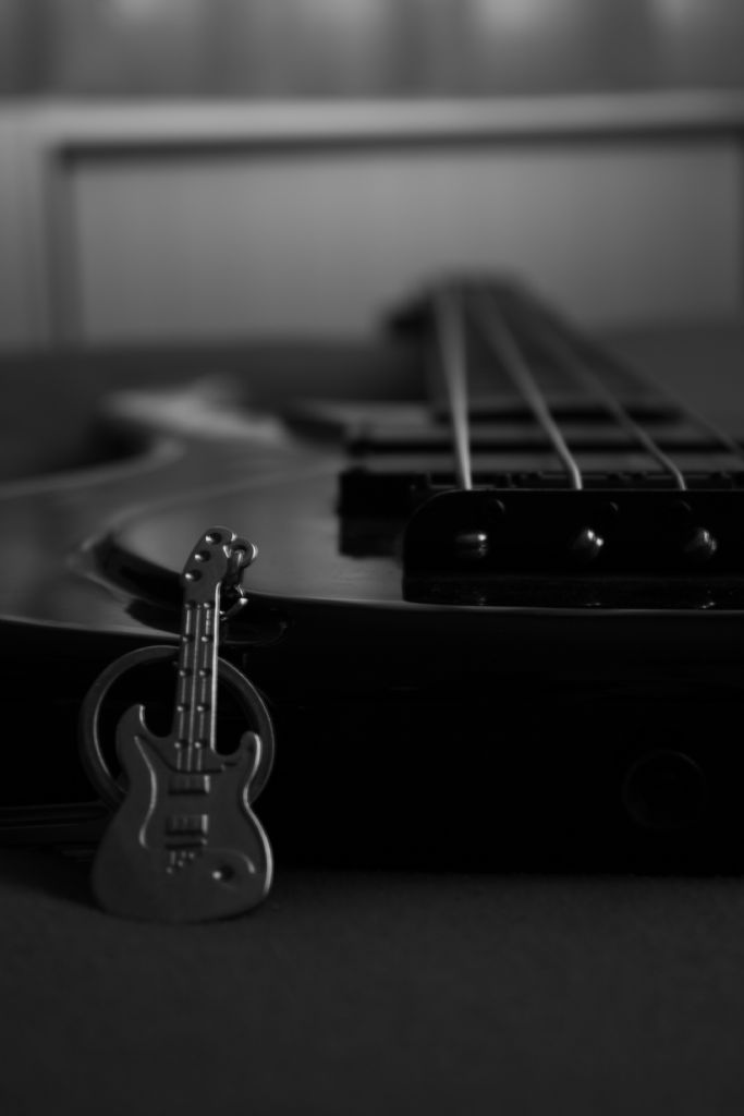 bass gitar 