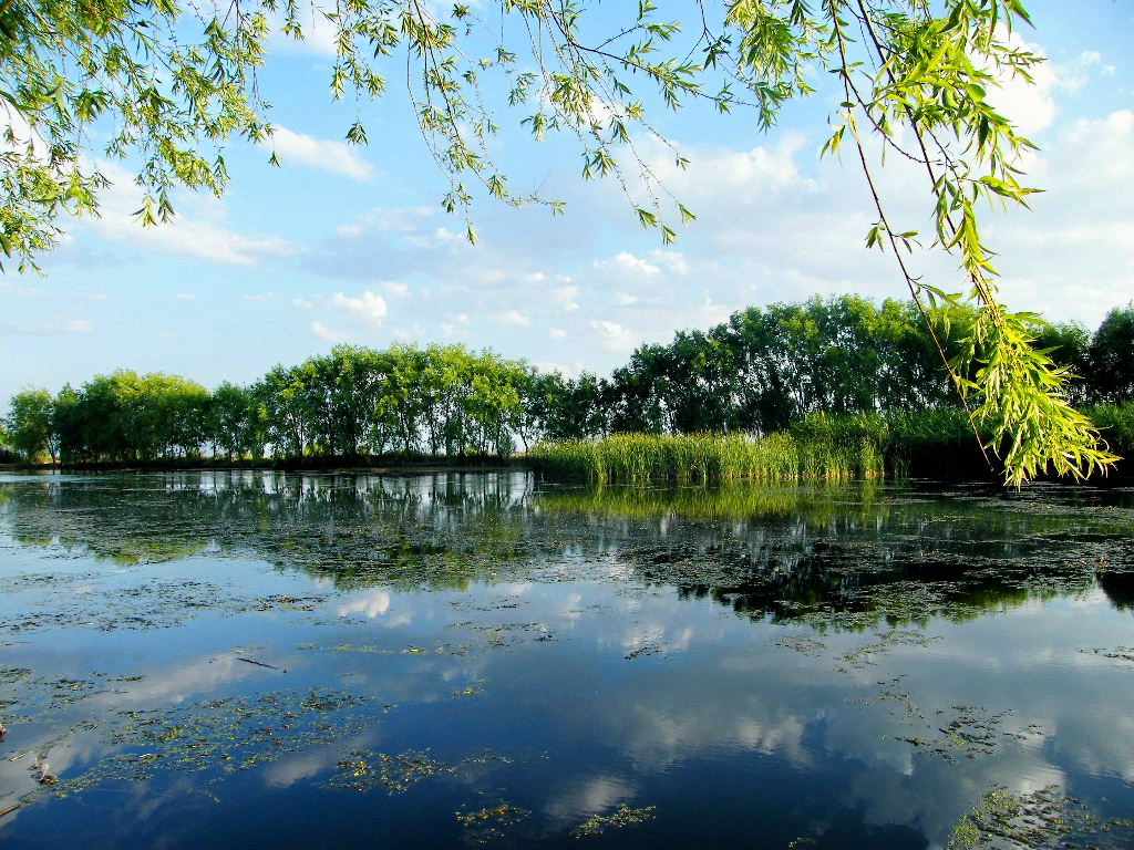 Sultansazl��� 2