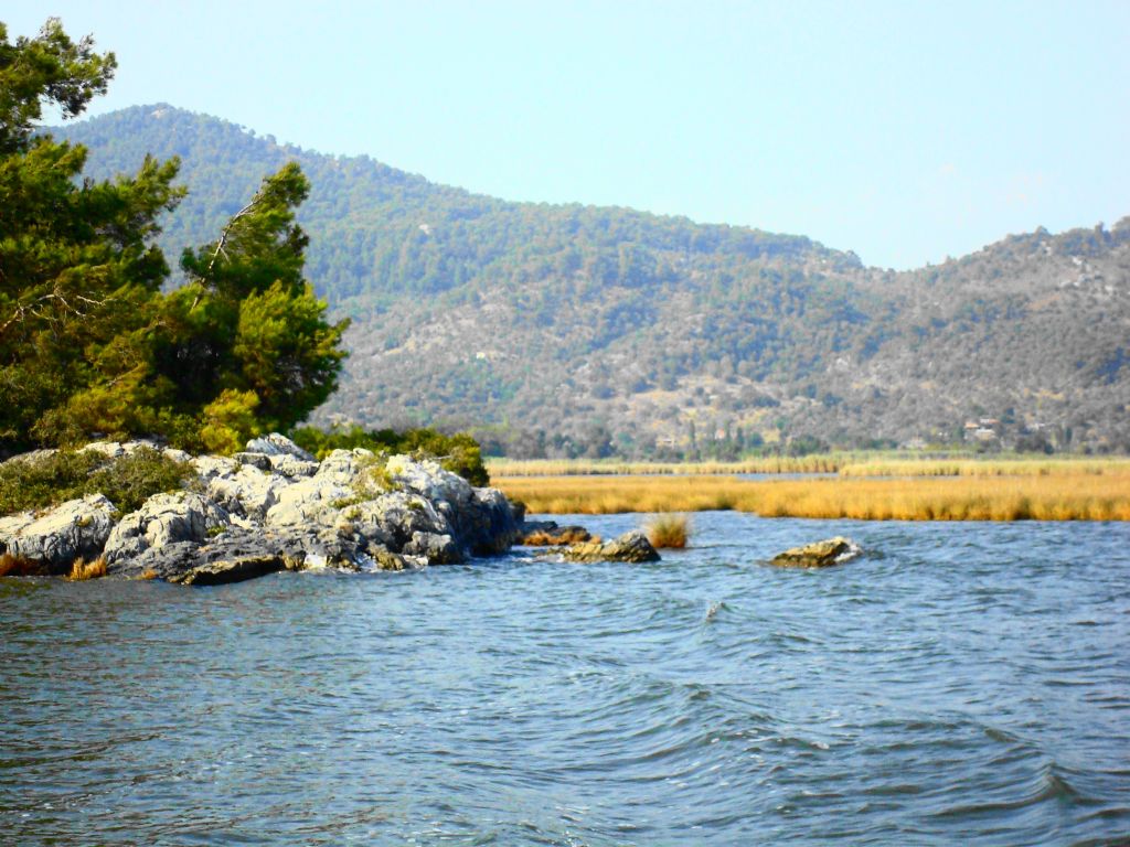 dalyan