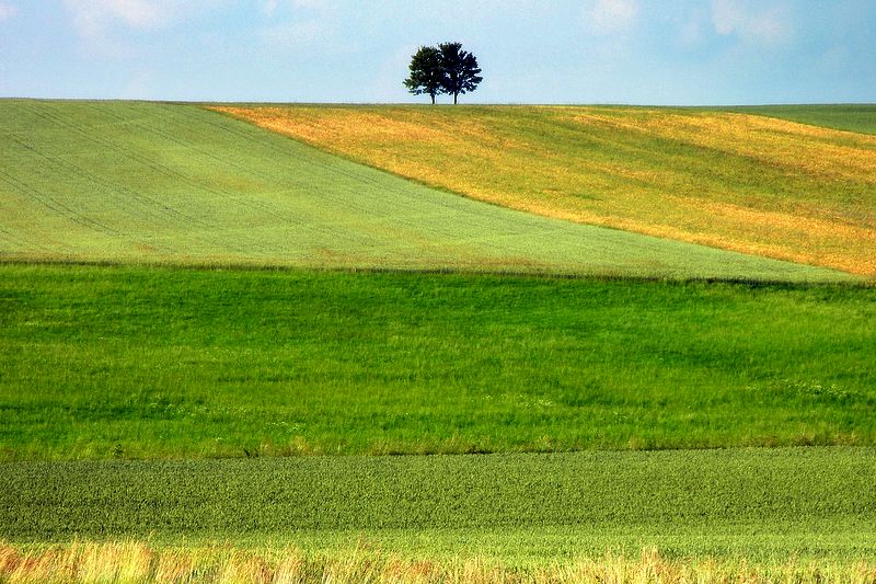 yazin renkleri