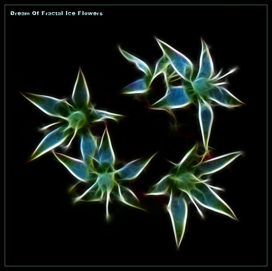 Dream Of Fractal Ice Flowers