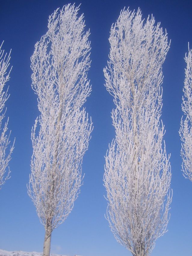 ak d��t� sa�lar�ma...