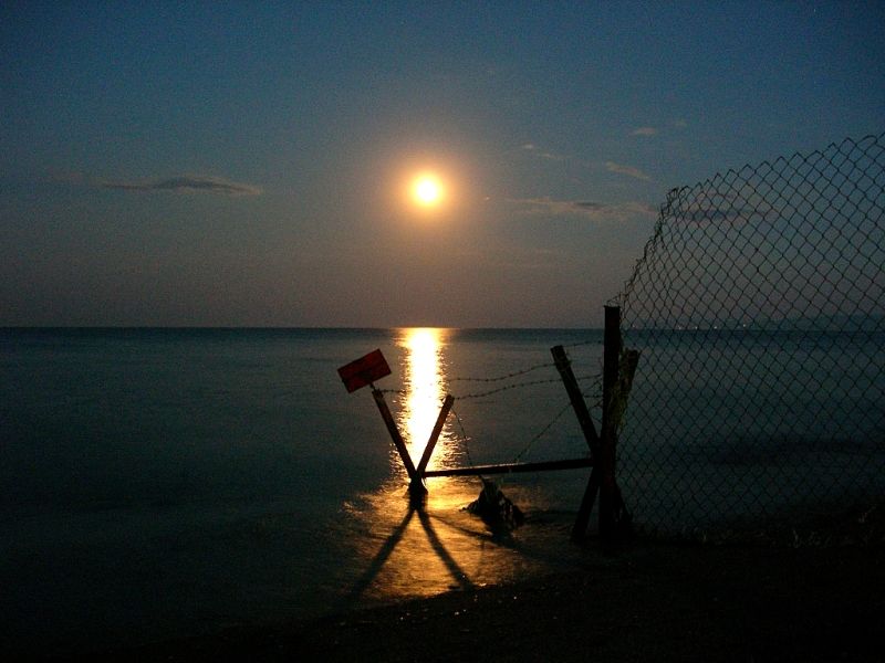 '' ay nda deniz akordiyon solosu'' *