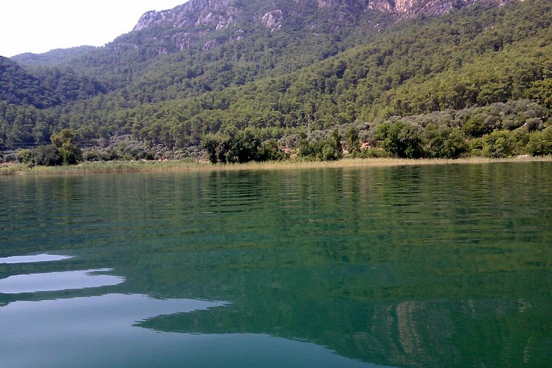 Dalyan