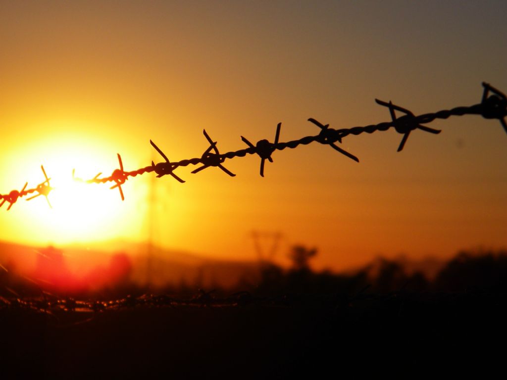 TEL �RG� ARDINDAN BAKI�LAR