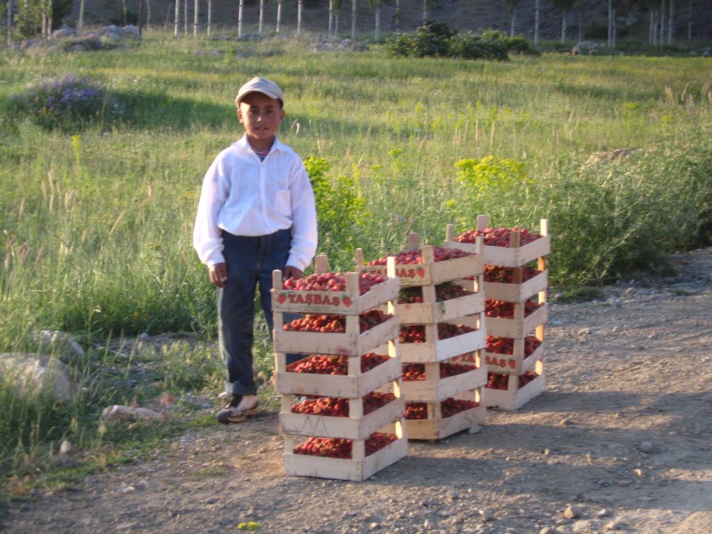 ileklermi,ocukmu