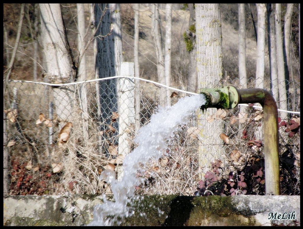 ��r�lt�. . .