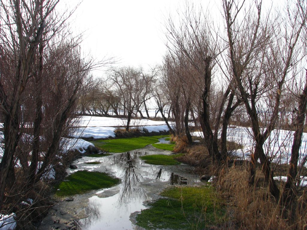 K��da g�zeldir...