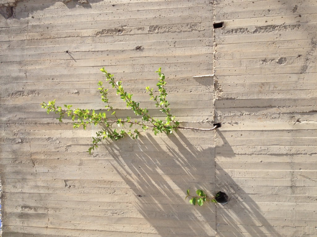 yol bulmu� ��km��