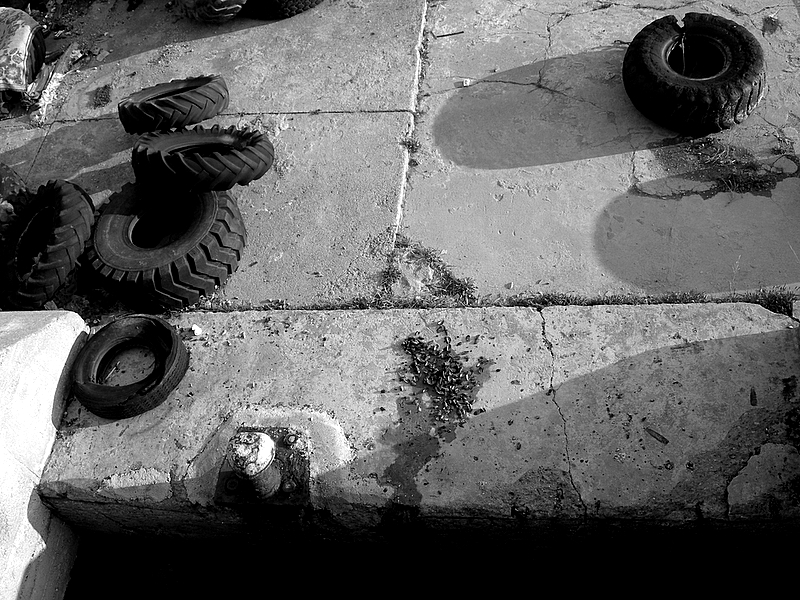 s&b kanad�, midye kabuklar�..