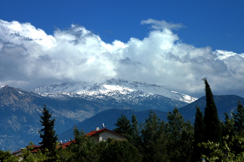 Uzaktan Honaz da