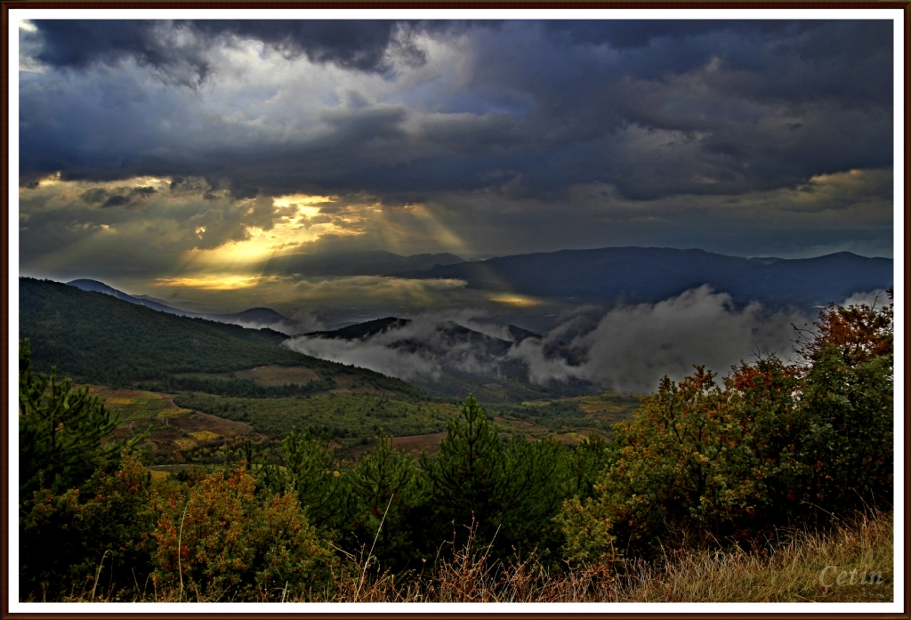 Do�an�n g�zelli�i