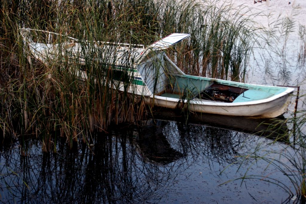 g�l manzaralari  3