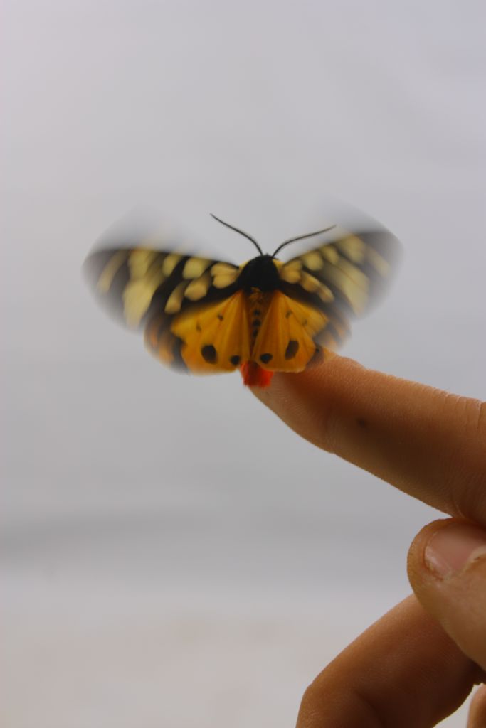 Zamandaki deerli serinlik...