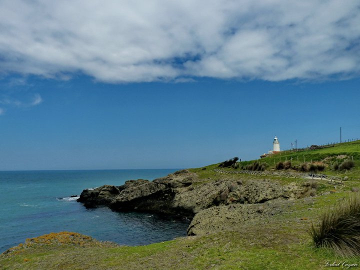 deniz feneri