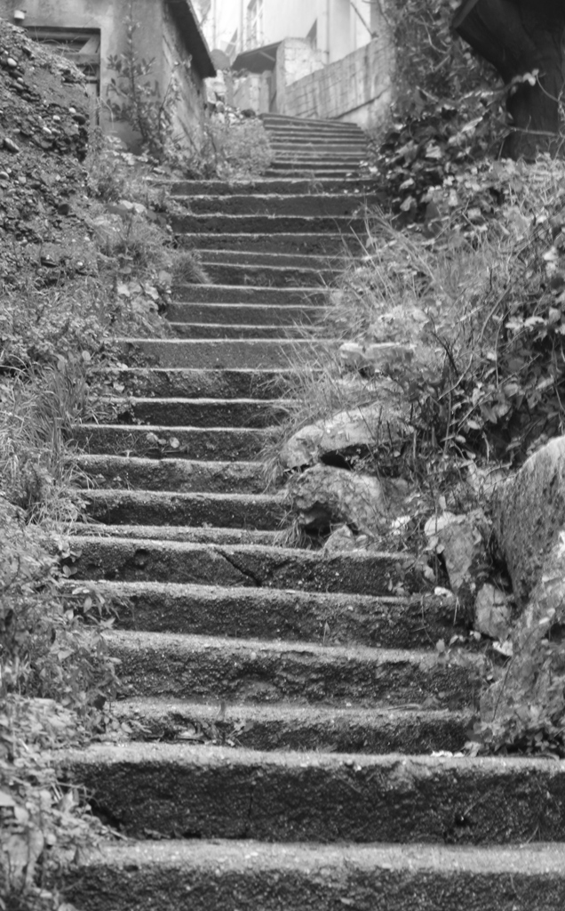 MERDVENL EHR ZONGULDAK