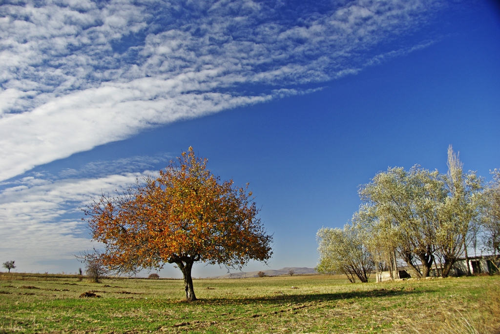 Sonbahar bulutlar