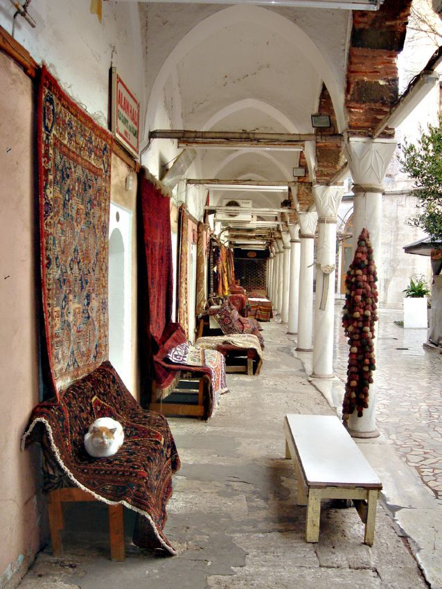 �orlulu Ali Pa�a Medresesi